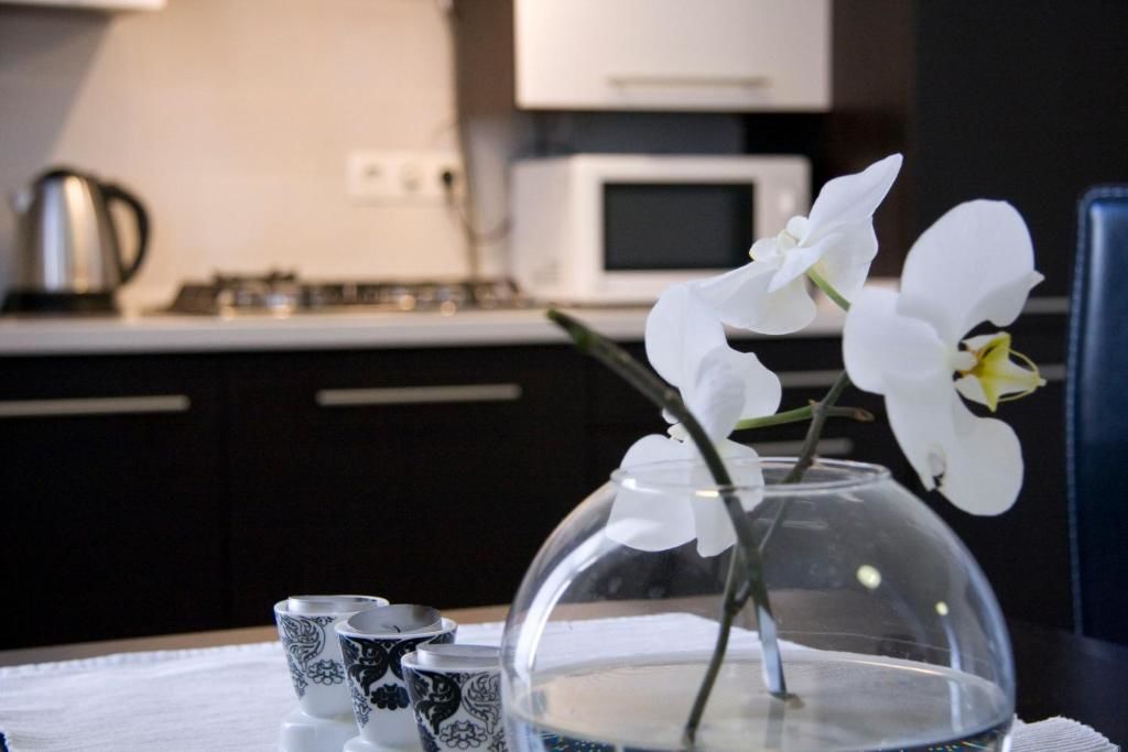 Апартаменты Apartment in the centre of Lviv Львов